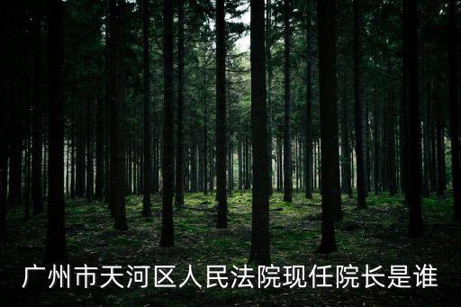 廣州市天河區人民法院現任院長是誰