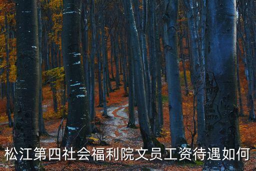 上海市第四福利院怎么樣，松江第四社會福利院文員工資待遇如何