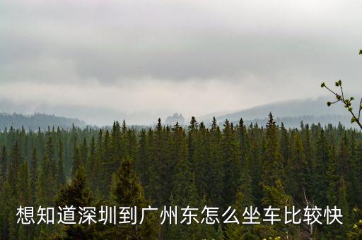 想知道深圳到廣州東怎么坐車比較快