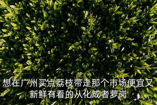 想在廣州買(mǎi)點(diǎn)荔枝帶走那個(gè)市場(chǎng)便宜又新鮮有看的從化或者蘿崗