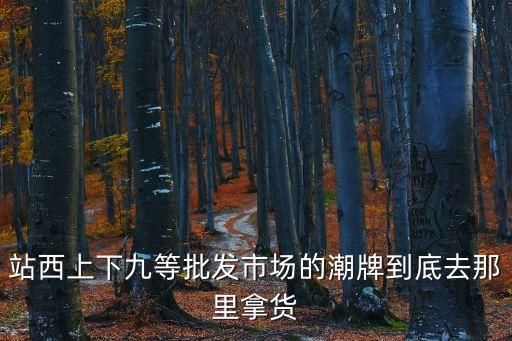 站西上下九等批發市場的潮牌到底去那里拿貨