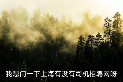 上海市工程車司機招聘信息網，我想問一下上海有沒有司機招聘網呀