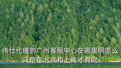 偉仕貿易廣州，偉仕是做什么的