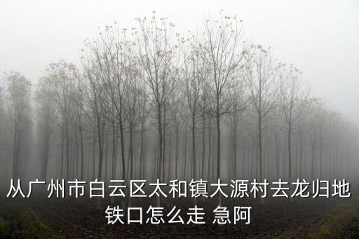 從廣州市白云區太和鎮大源村去龍歸地鐵口怎么走 急阿