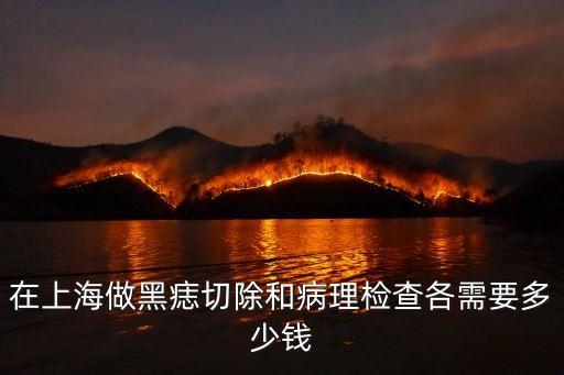 上海市病理收費標準，在上海做黑痣切除和病理檢查各需要多少錢