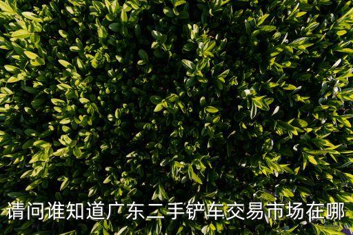 請問誰知道廣東二手鏟車交易市場在哪