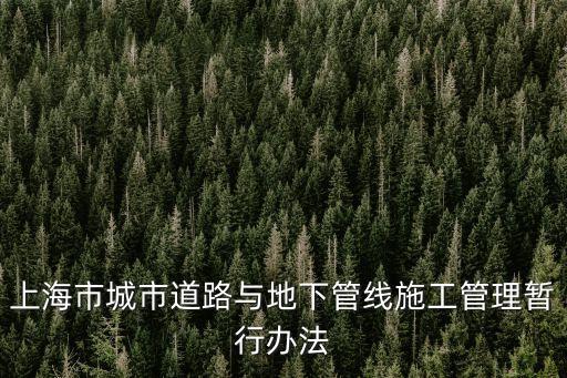 上海市城市道路與地下管線施工管理暫行辦法