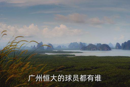 廣州恒大的球員都有誰