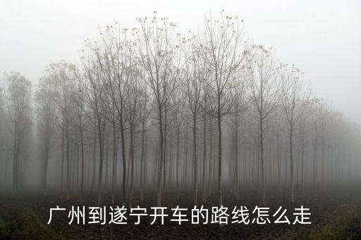 廣州到遂寧開車的路線怎么走