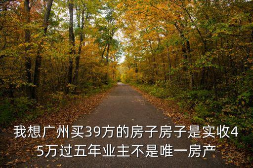 廣州愛立方公寓房，我想廣州買39方的房子房子是實收45萬過五年業主不是唯一房產