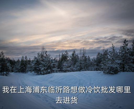 我在上海浦東臨沂路想做冷飲批發哪里去進貨