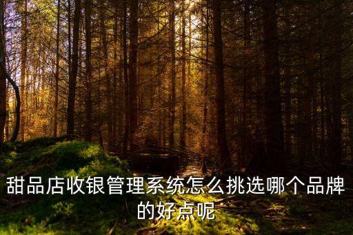 廣州十大烘焙收銀系統，甜品店收銀管理系統怎么挑選哪個品牌的好點呢