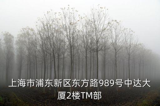 上海市永泰商行，上海市浦東新區(qū)東方路989號中達大廈2樓TM部