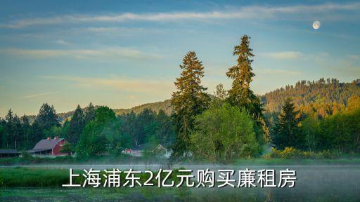 上海市動產(chǎn)擔保統(tǒng)一登記試點工作，上海買房新政策