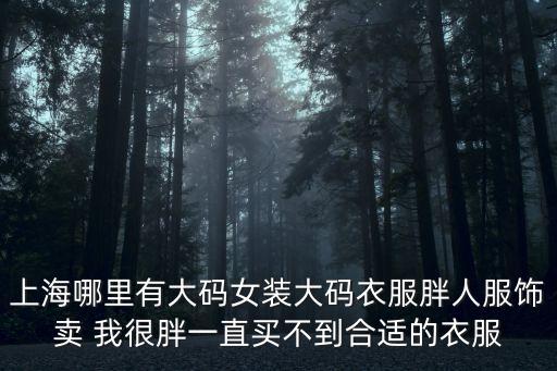 上海哪里有大碼女裝大碼衣服胖人服飾賣 我很胖一直買不到合適的衣服
