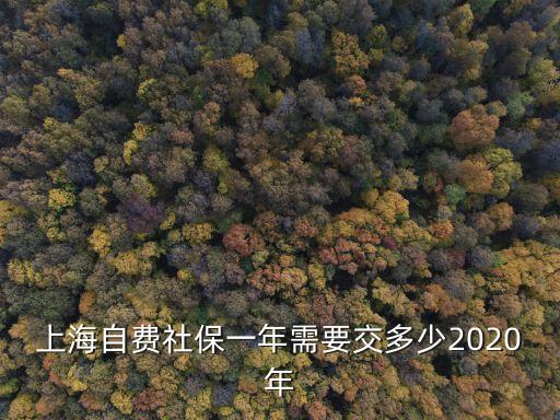上海市社保一年交多少錢，上海社保個人交多少