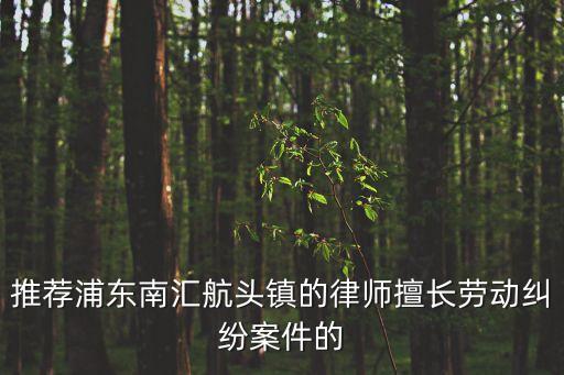 推薦浦東南匯航頭鎮的律師擅長勞動糾紛案件的