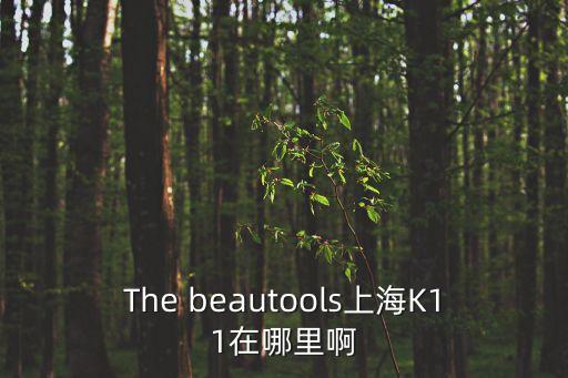 英文 上海市徐匯區淮海中路，The beautools上海K11在哪里啊