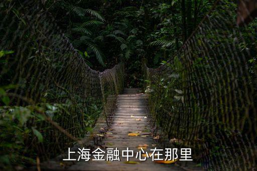 上海金融中心在那里