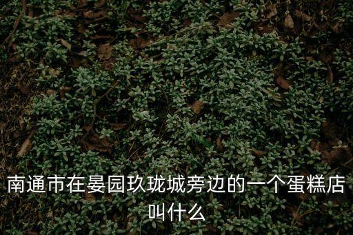 南通市在晏園玖瓏城旁邊的一個(gè)蛋糕店叫什么
