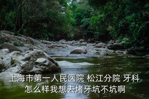 上海市第一人民醫(yī)院 松江分院 牙科 怎么樣我想去堵牙坑不坑啊