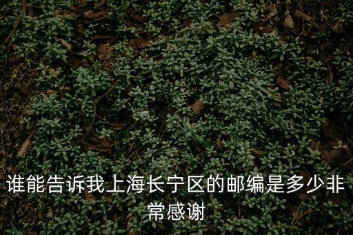 誰能告訴我上海長寧區的郵編是多少非常感謝