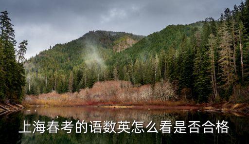 上海市春考成績(jī)查詢，上海春考的語數(shù)英怎么看是否合格