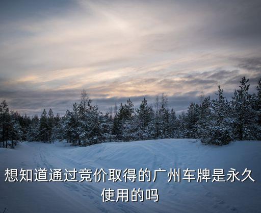 想知道通過競價取得的廣州車牌是永久使用的嗎
