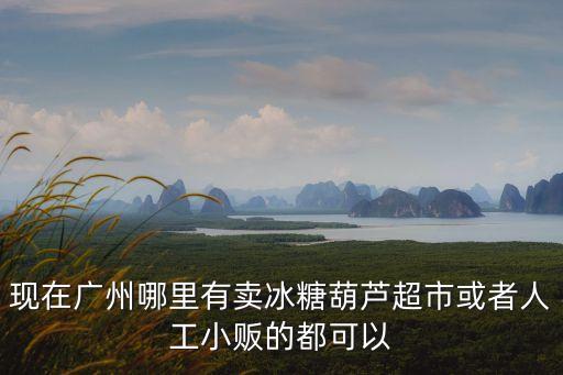 現在廣州哪里有賣冰糖葫蘆超市或者人工小販的都可以