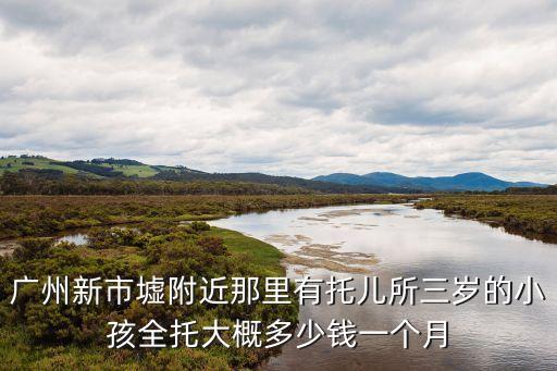 廣州嬰兒全托多少錢一個月，廣州新市墟附近那里有托兒所三歲的小孩全托大概多少錢一個月