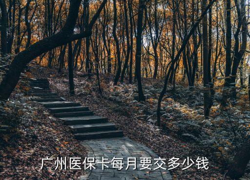 廣州醫保每月要繳費多少，誰能告訴我廣州買醫保一個月要多少錢自己買謝謝