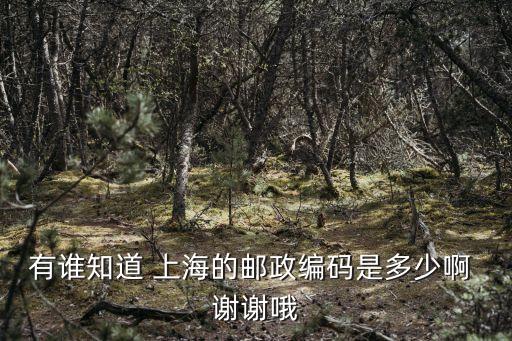 上海市光華路郵編，光華路soho二期郵政編碼是多少