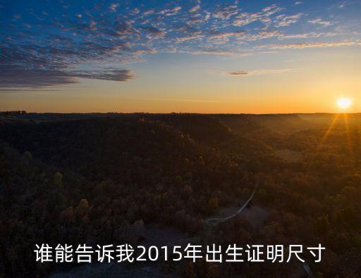 誰能告訴我2015年出生證明尺寸