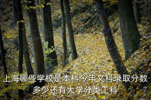 上海哪些學校是本科今年文科錄取分數多少還有大學分類工科