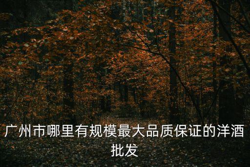 廣州市哪里有規模最大品質保證的洋酒批發