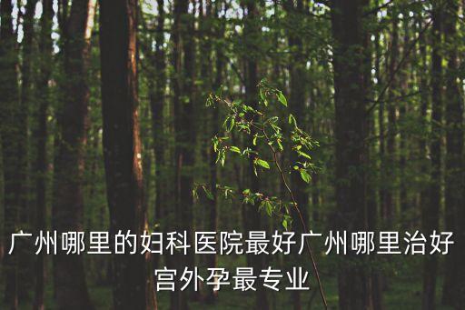 廣州最權(quán)威婦科醫(yī)院確選建國(guó)犀利，廣州哪里的婦科醫(yī)院最好廣州哪里治好宮外孕最專業(yè)