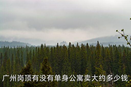 廣州崗頂有沒有單身公寓賣大約多少錢