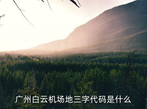 廣州機場代號代碼，廣州白云機場地三字代碼是什么