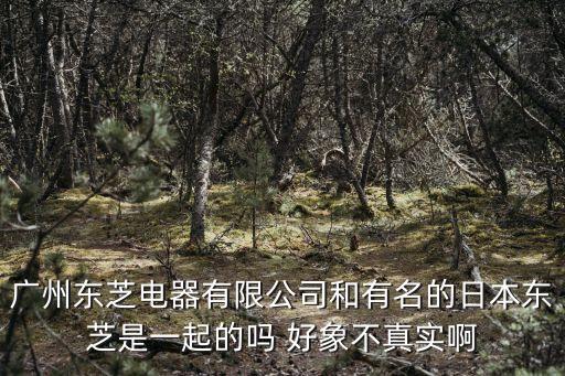 廣州白云神山東芝，廣州白云區(qū)哪里有東芝筆記本電腦專賣店