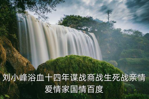 劉小峰浴血十四年諜戰商戰生死戰親情愛情家國情百度