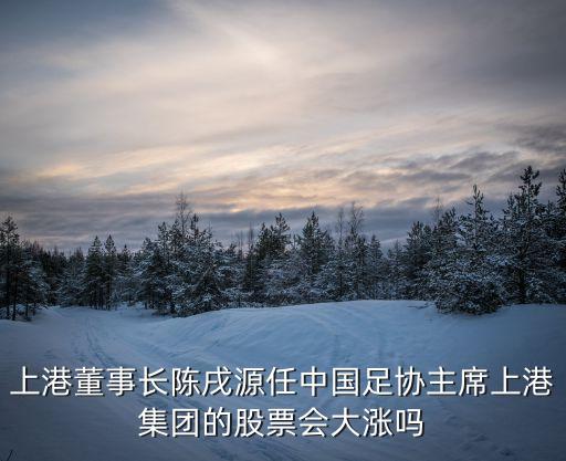 上港董事長陳戌源任中國足協主席上港集團的股票會大漲嗎