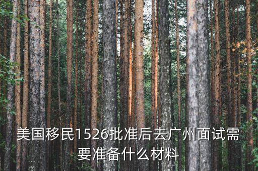 美國移民1526批準后去廣州面試需要準備什么材料