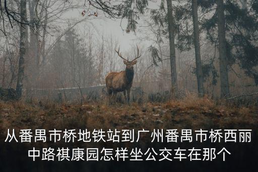 從番禺市橋地鐵站到廣州番禺市橋西麗中路祺康園怎樣坐公交車(chē)在那個(gè)