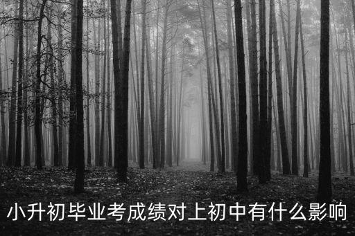 小升初畢業考成績對上初中有什么影響