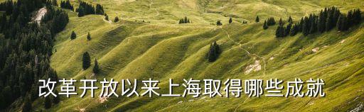 改革開(kāi)放以來(lái)上海取得哪些成就