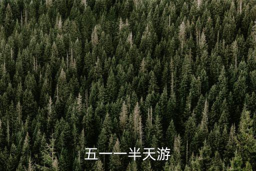 五一一半天游