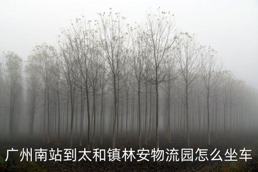 廣州南站到太和鎮林安物流園怎么坐車