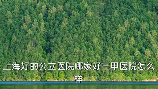 上海市公利醫院圖片，上海好的公立醫院哪家好三甲醫院怎么樣