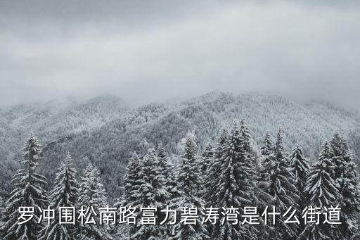 羅沖圍松南路富力碧濤灣是什么街道