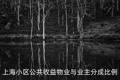 上海市對于公共收益的規定，上海小區公共收益物業與業主分成比例